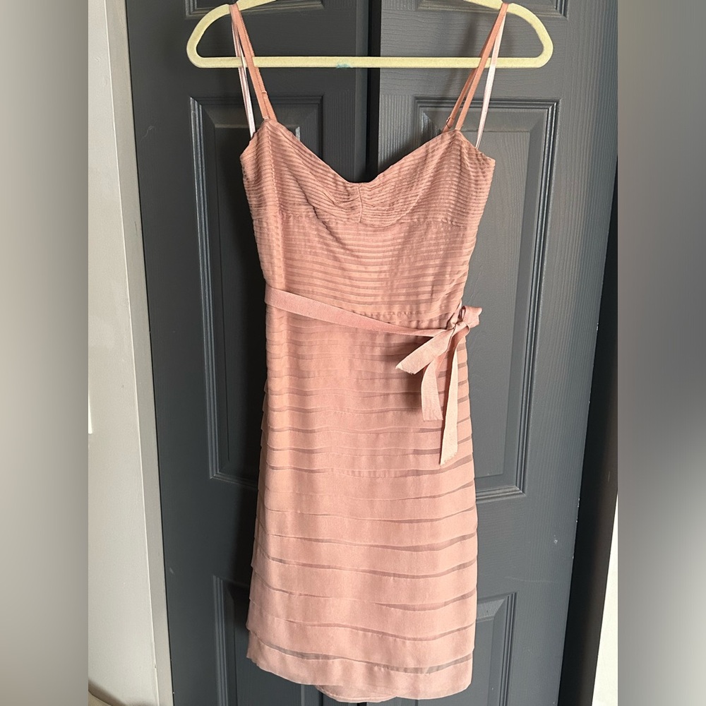 BCBG Max Azria blush/pink dress. Silk overlay.